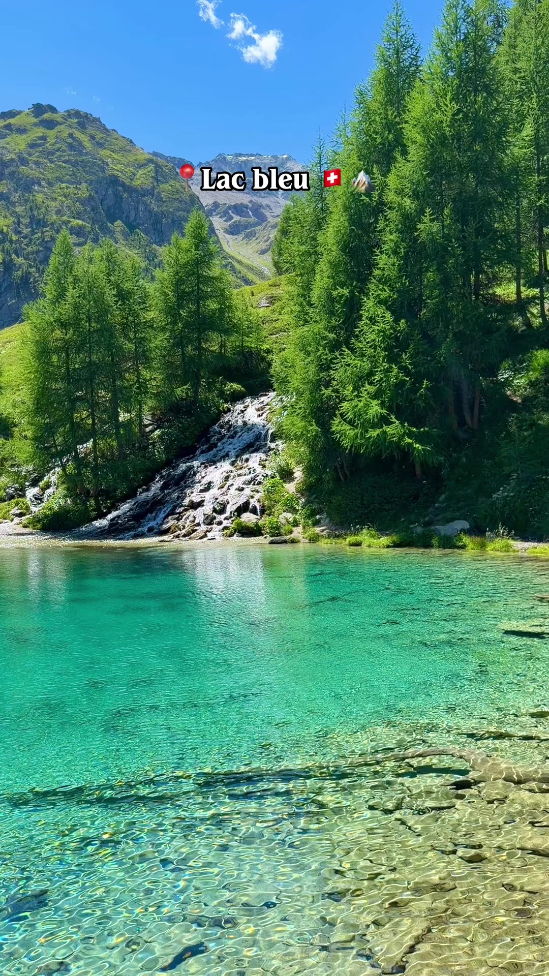 @S_hassani🦋🇨🇭