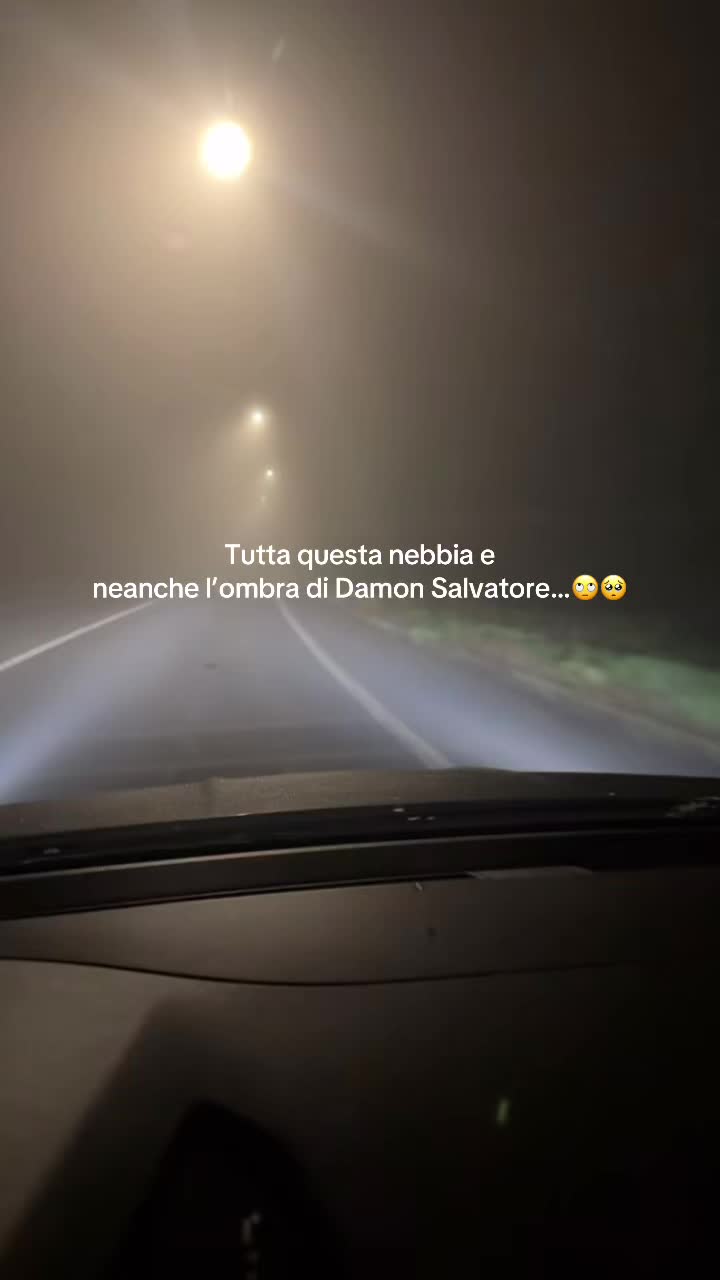 @Gloria Di Pasquale