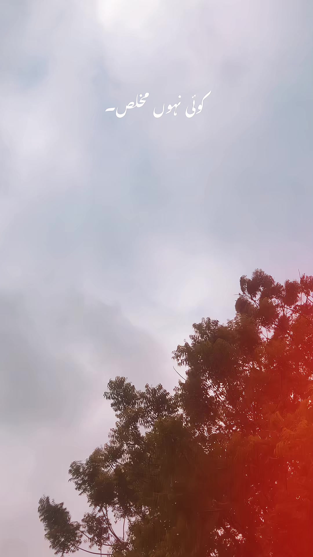@𝙎𝙖𝙖𝙙_𝙬𝙧𝙞𝙩𝙚𝙨✍️