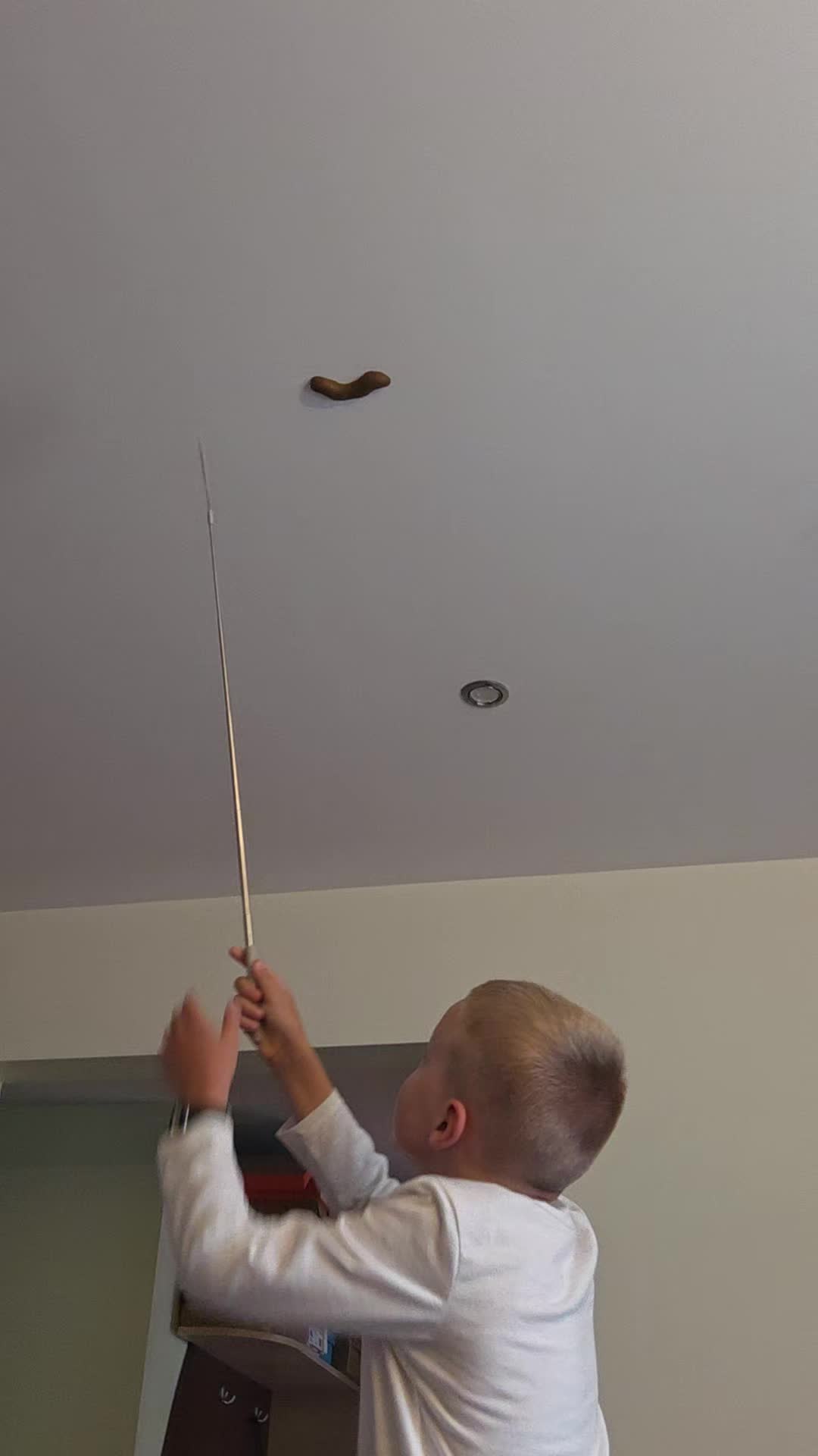 @Rimelė Kenst