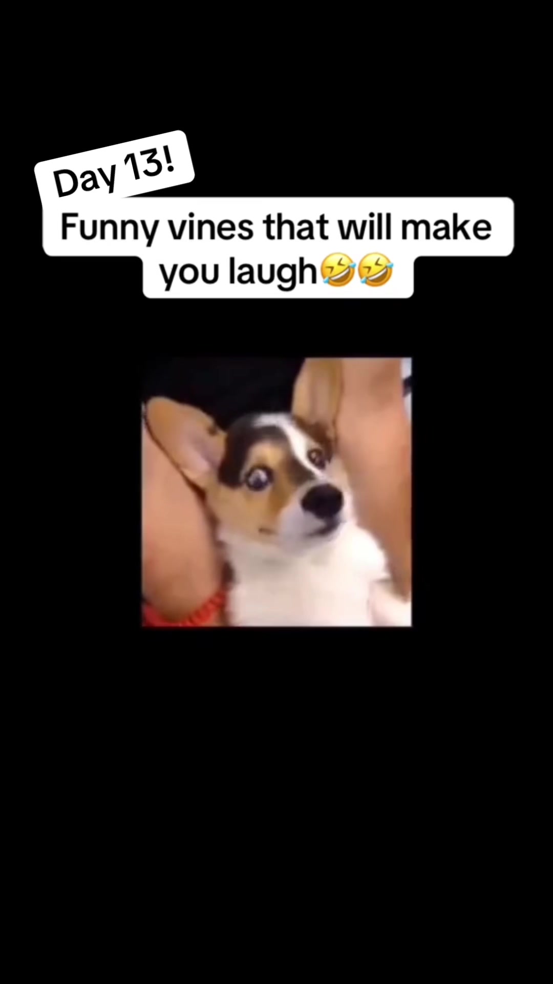 @InterestingClips76