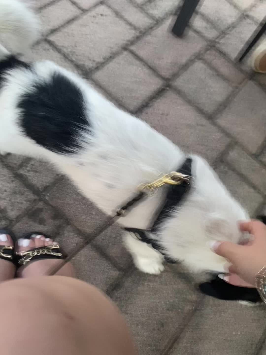 @fefè😵💫