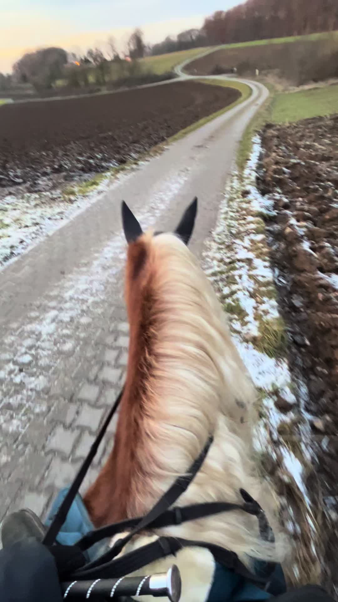 @Luki_a🧸