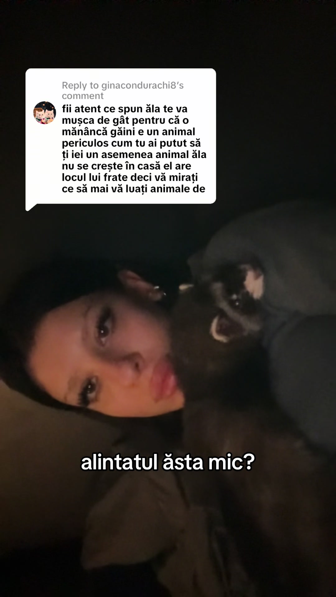 @dxdelia