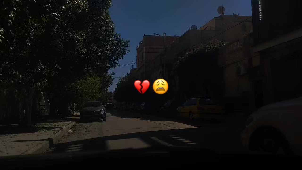 @𝑩𝒐𝒃𝒂🦁🇫🇷❤