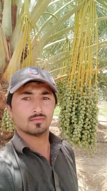 @Syed Hamza