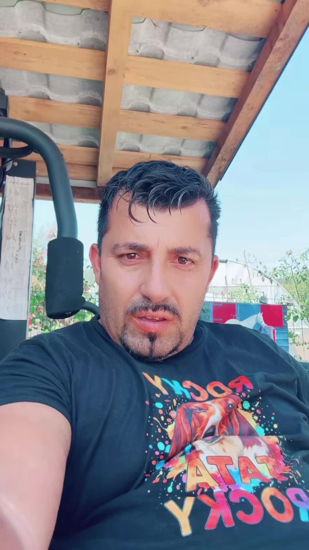 @adelin_petrisor67.