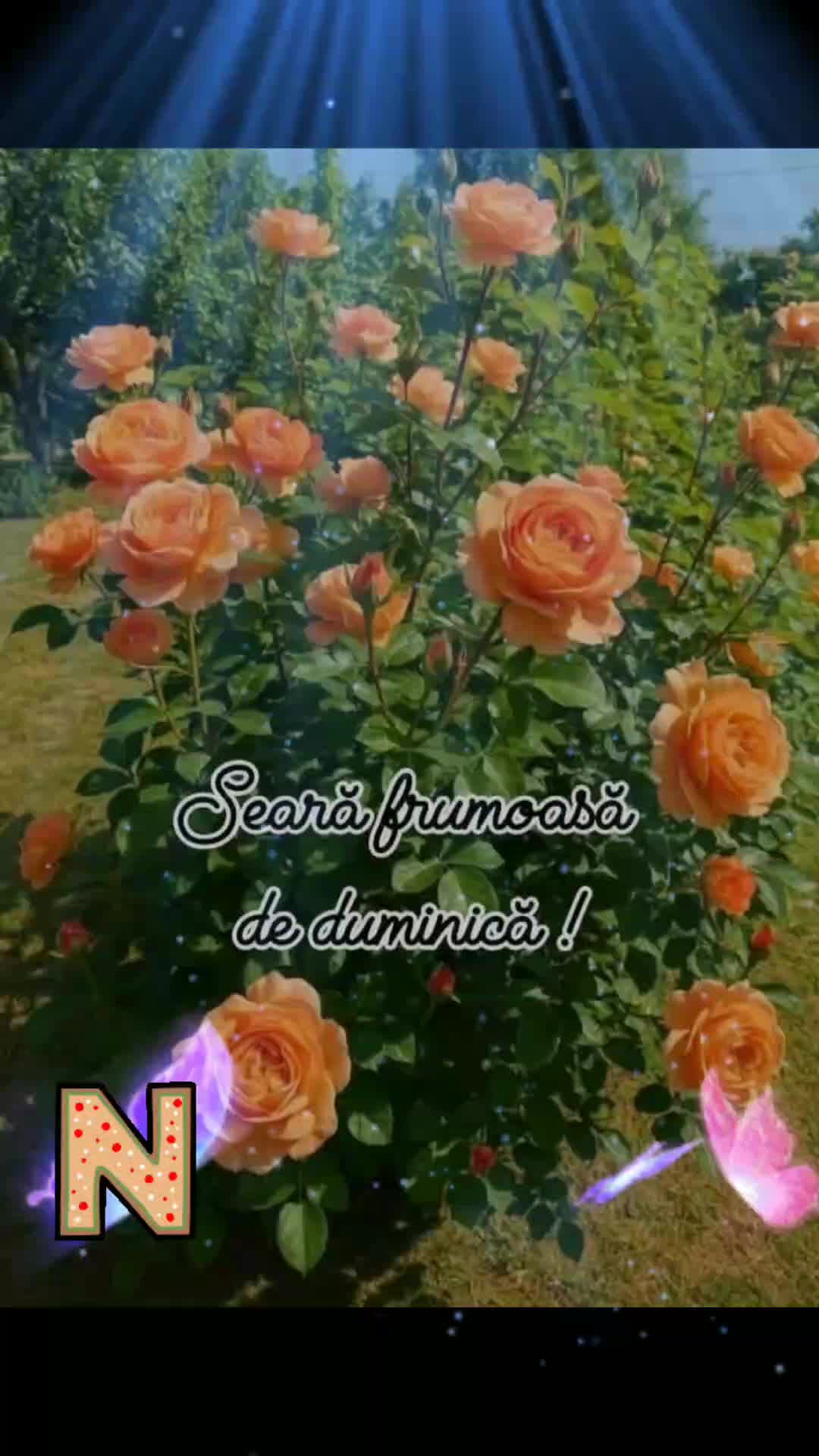 @Nicolae Iamandi