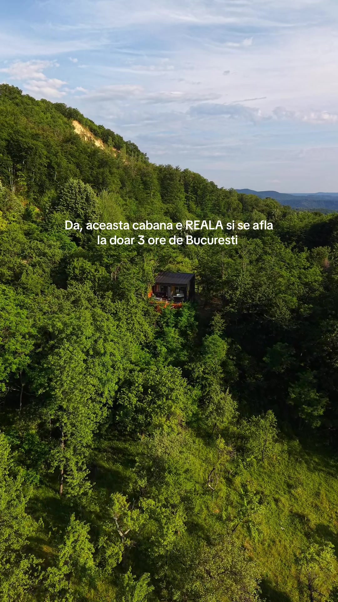@Forest View Valcea