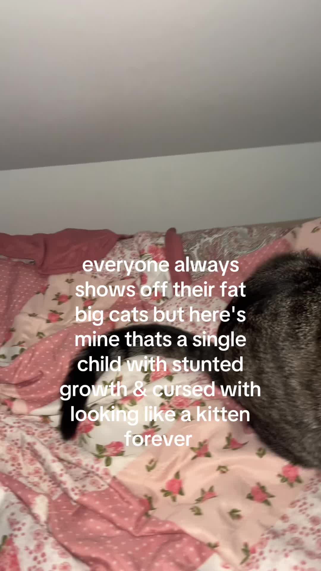 @ nuxsys