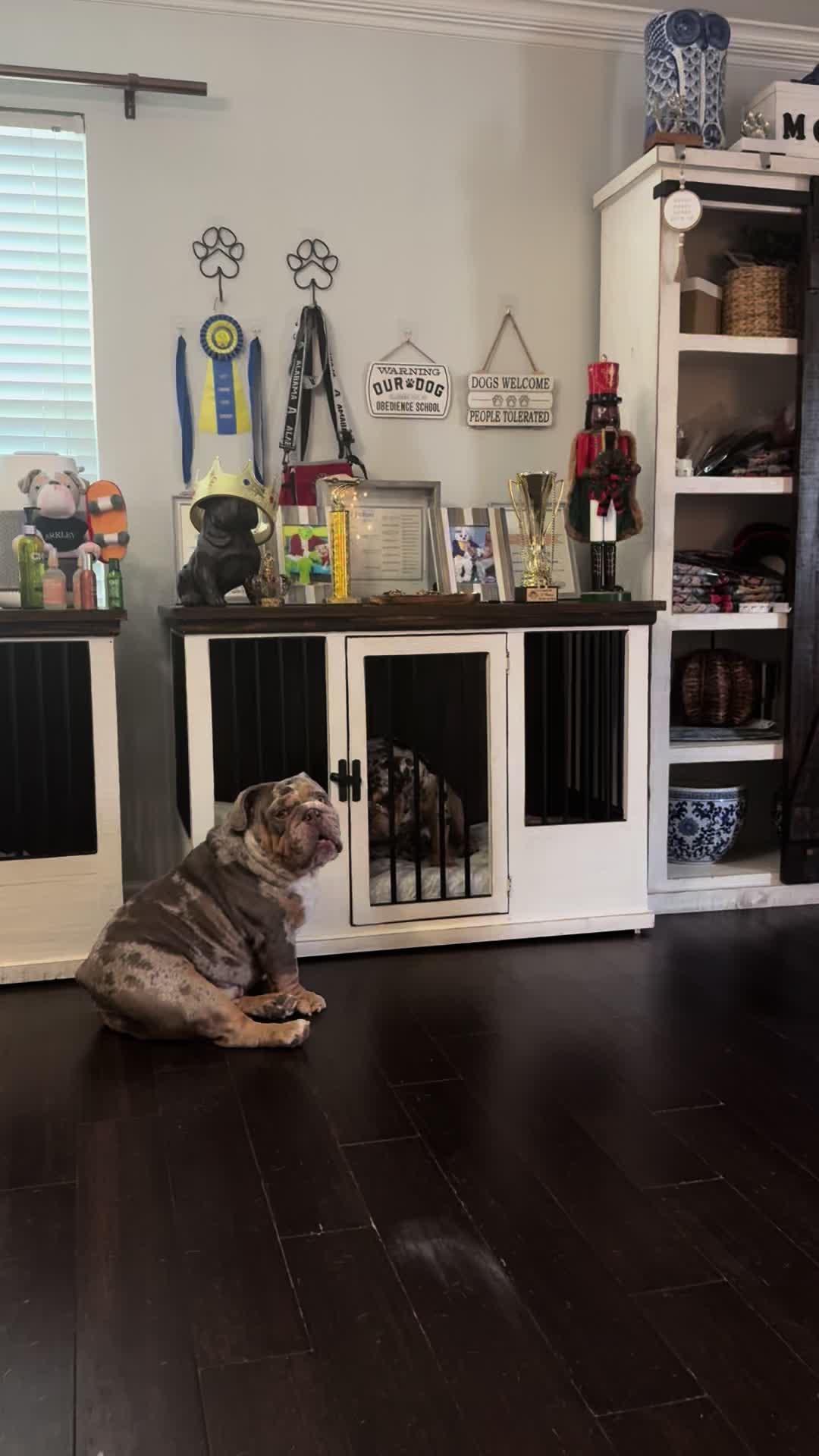 @barkleythabulldog