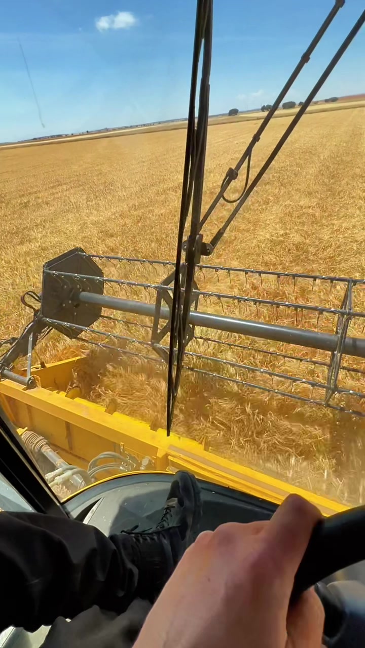 @Jota Agricultura