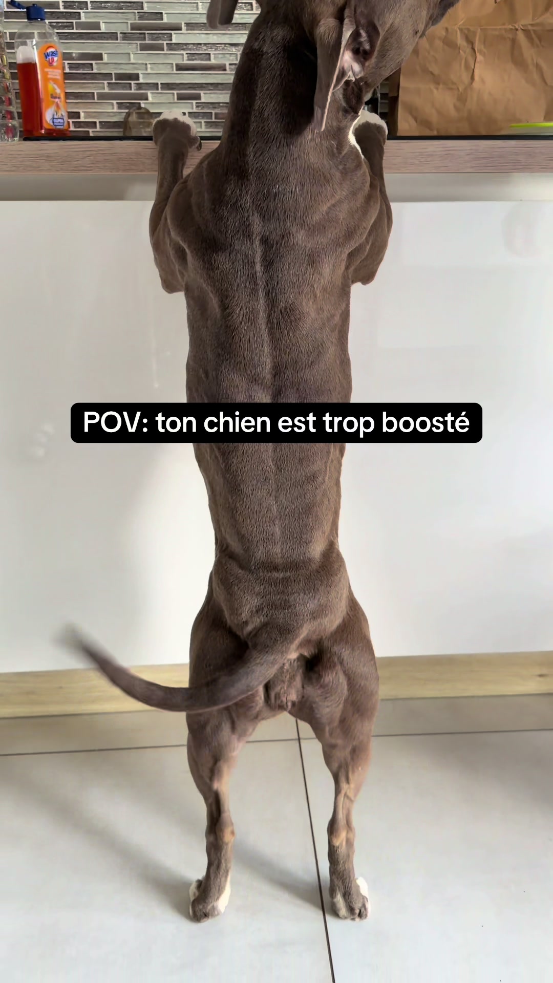 @kiara_isis_apbt