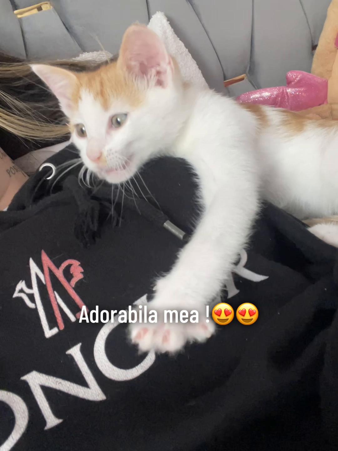 @Gabryela