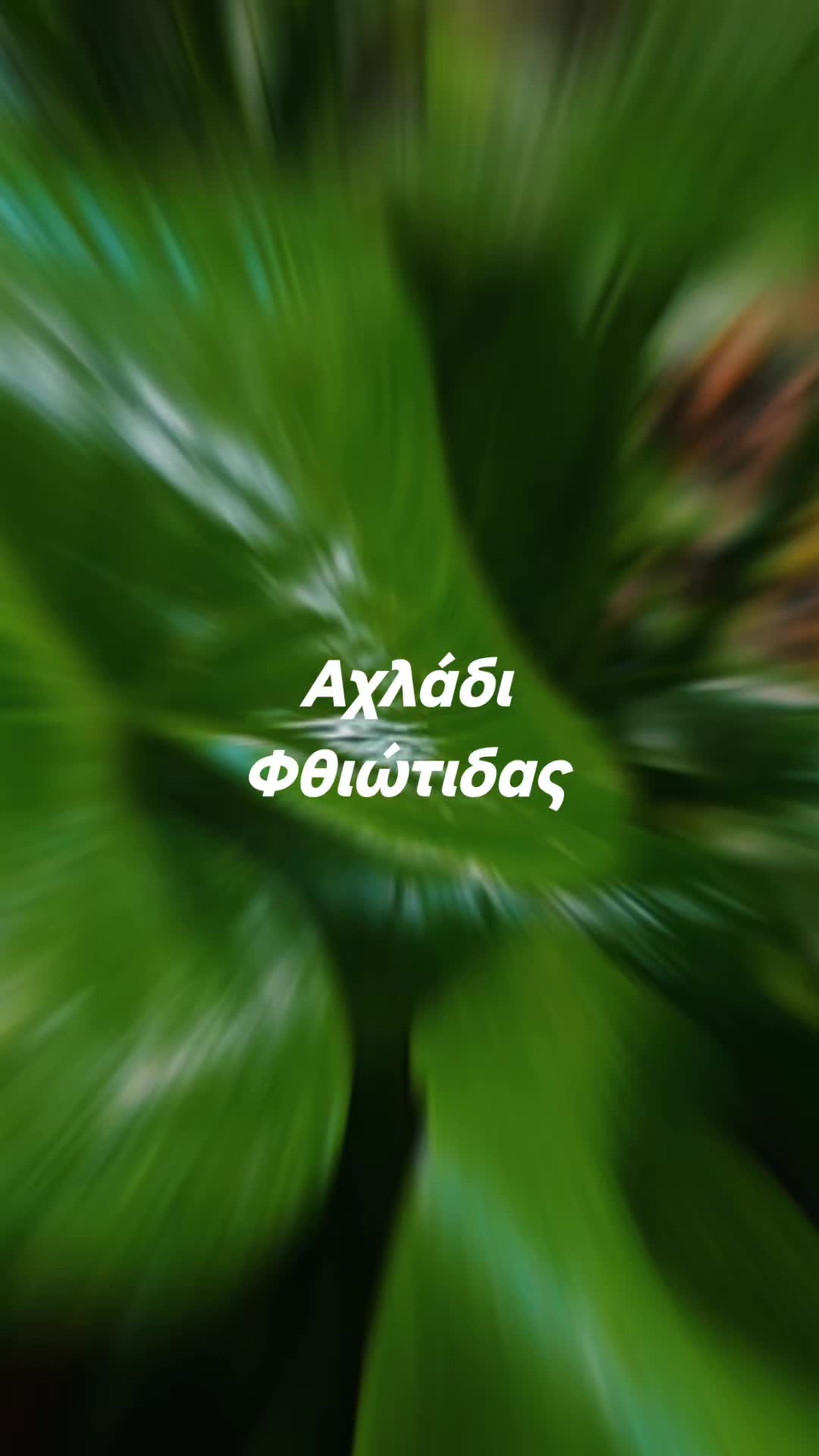 @stathelakou efi