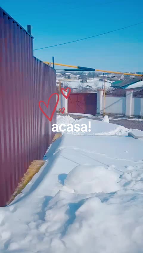 @Vera Muntean
