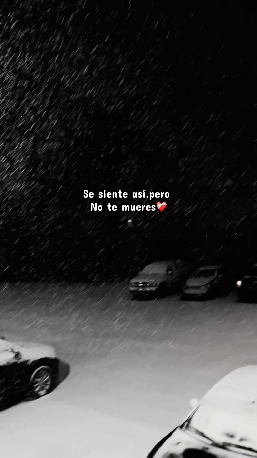@Nohemy❤️