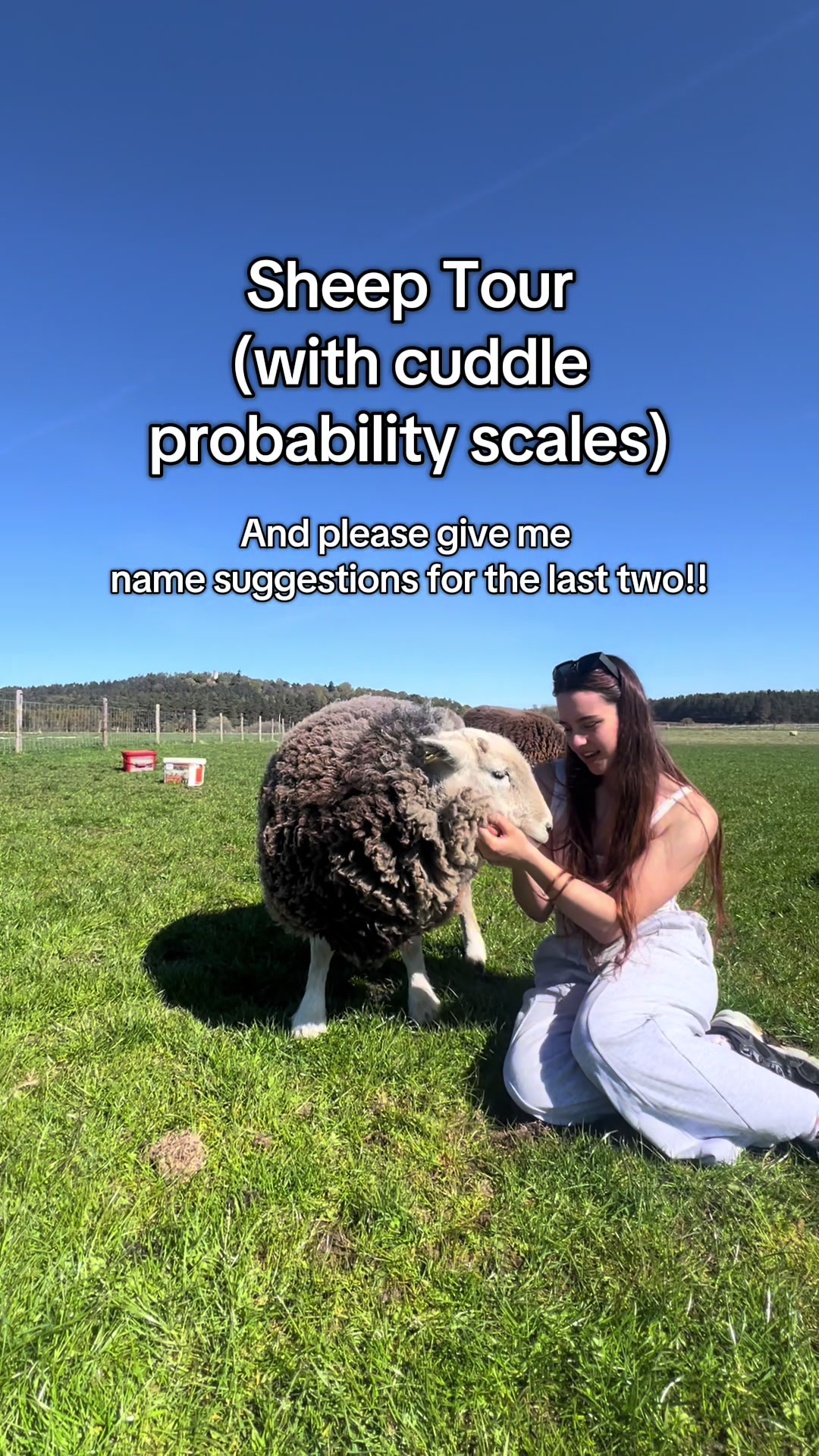 @Annie The Lamb