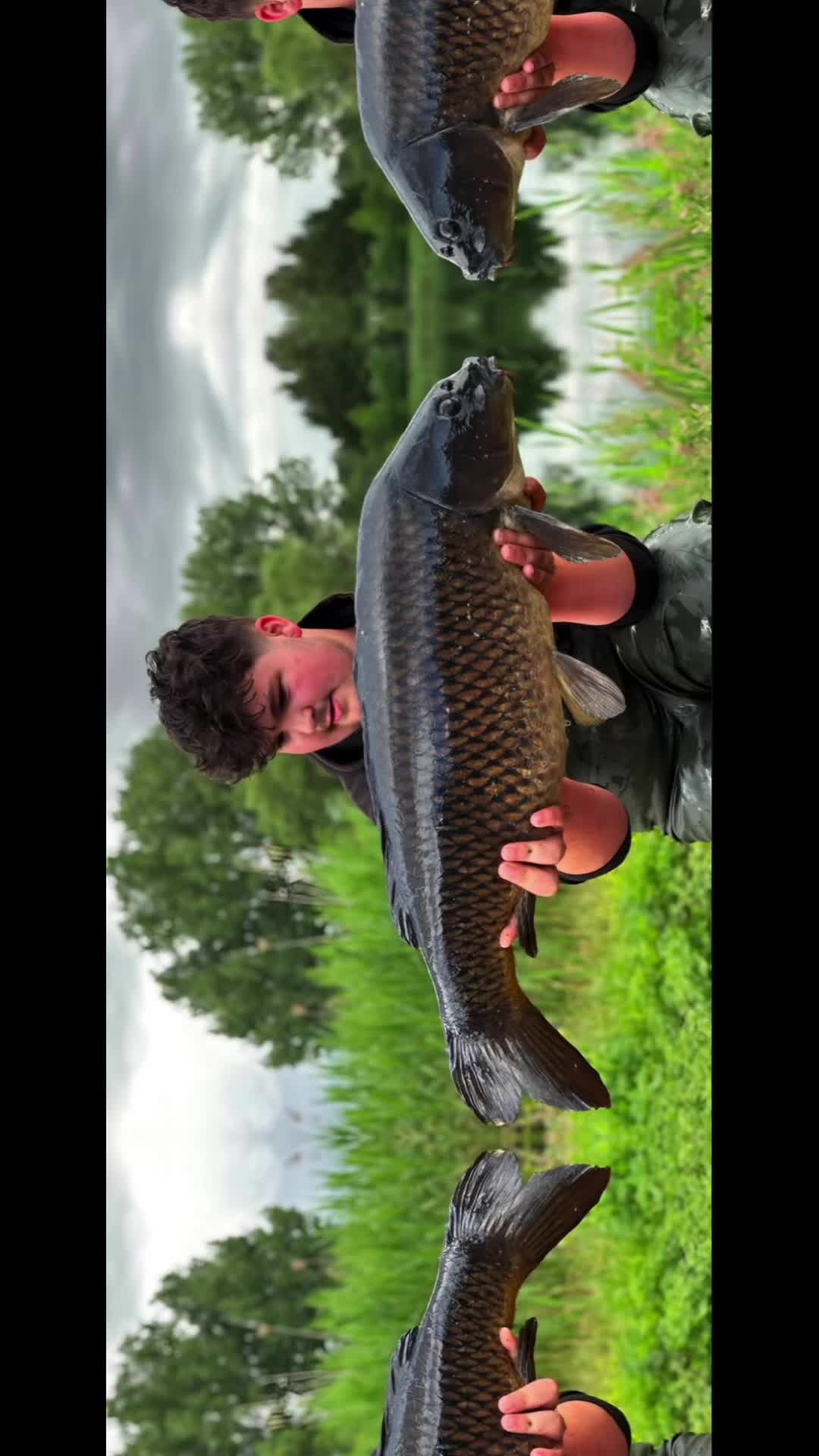 @Goodz Carp Baitz