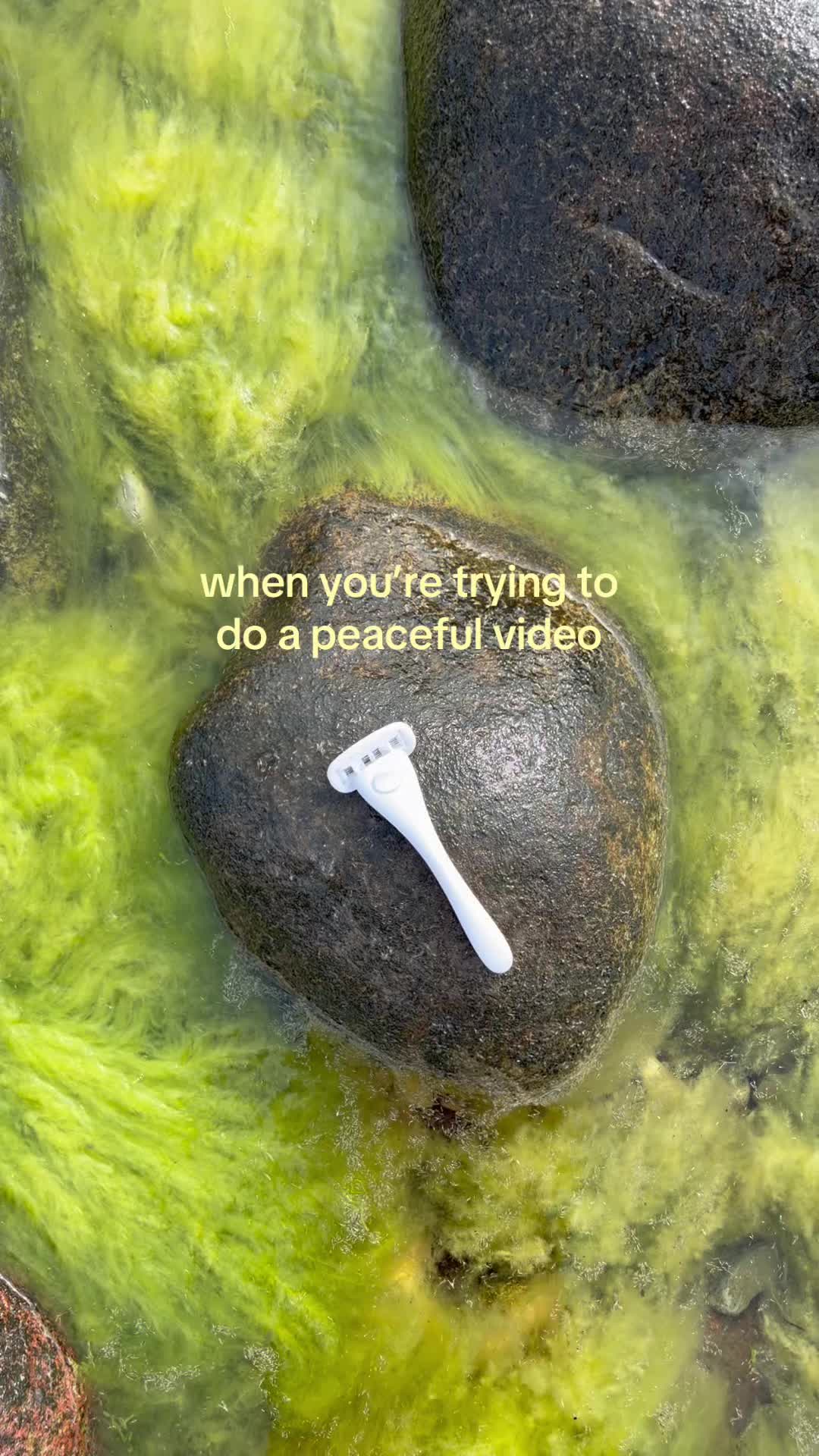 @heyestrid