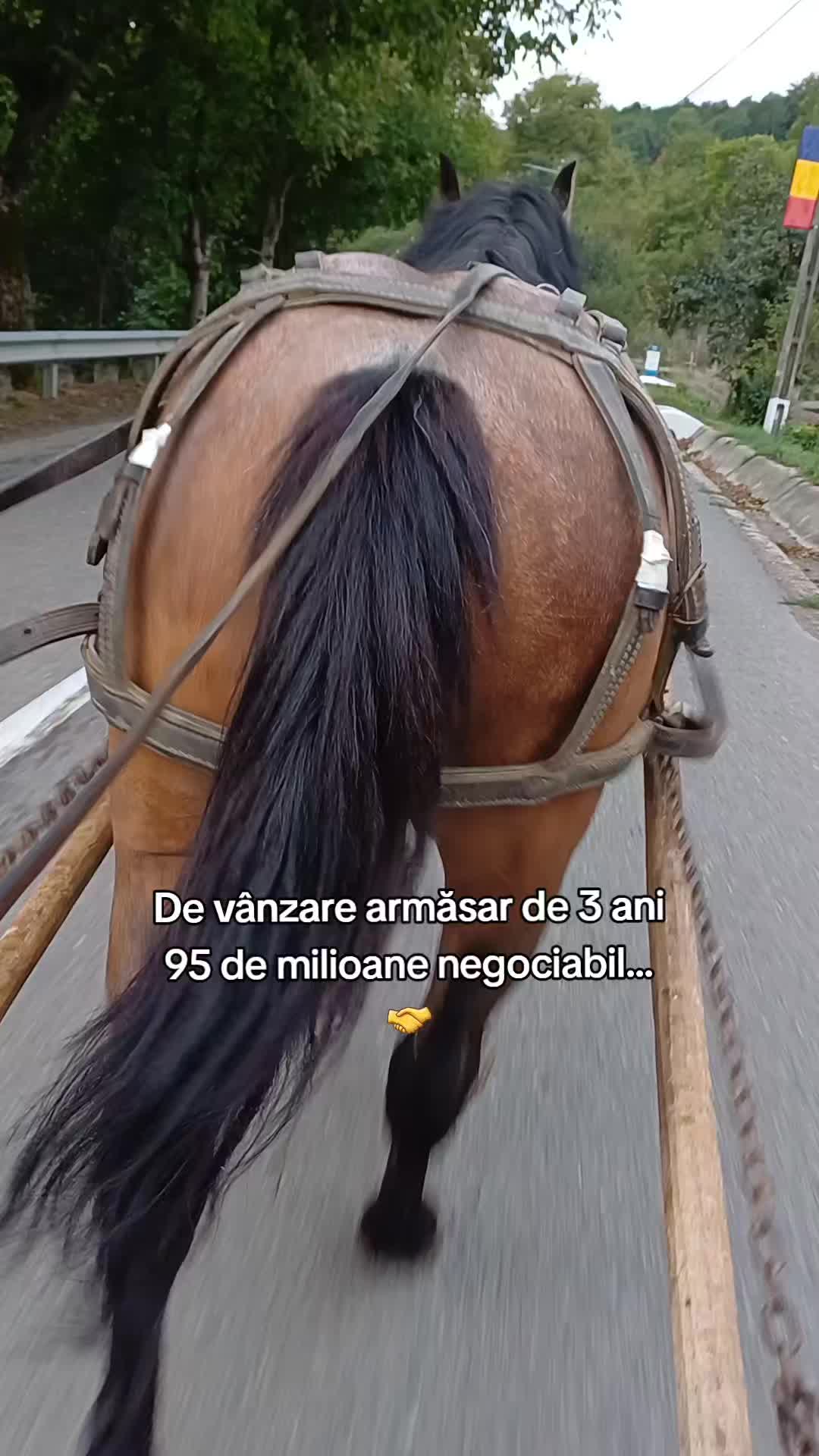 @Stelian