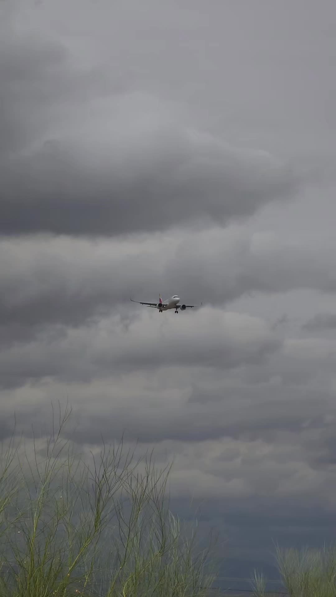 @Aviation-World