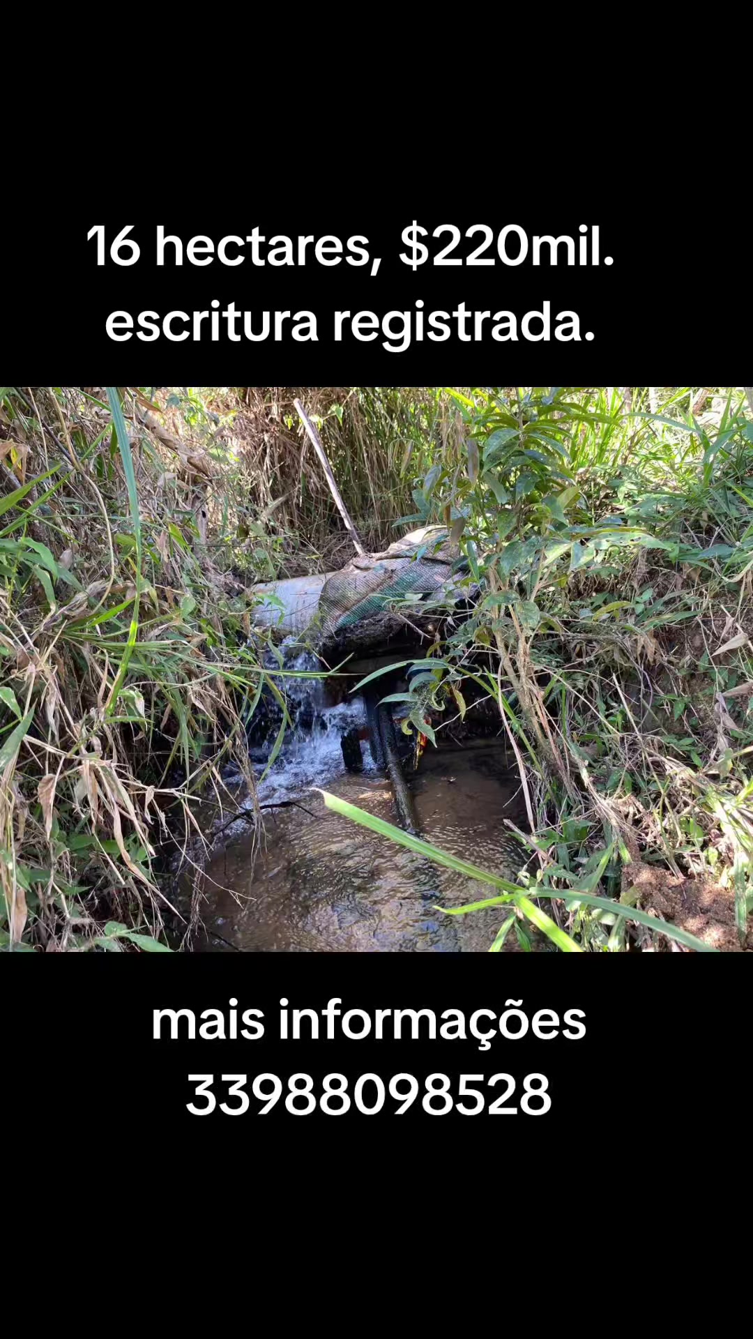 @O REI DAS FAZENDAS.