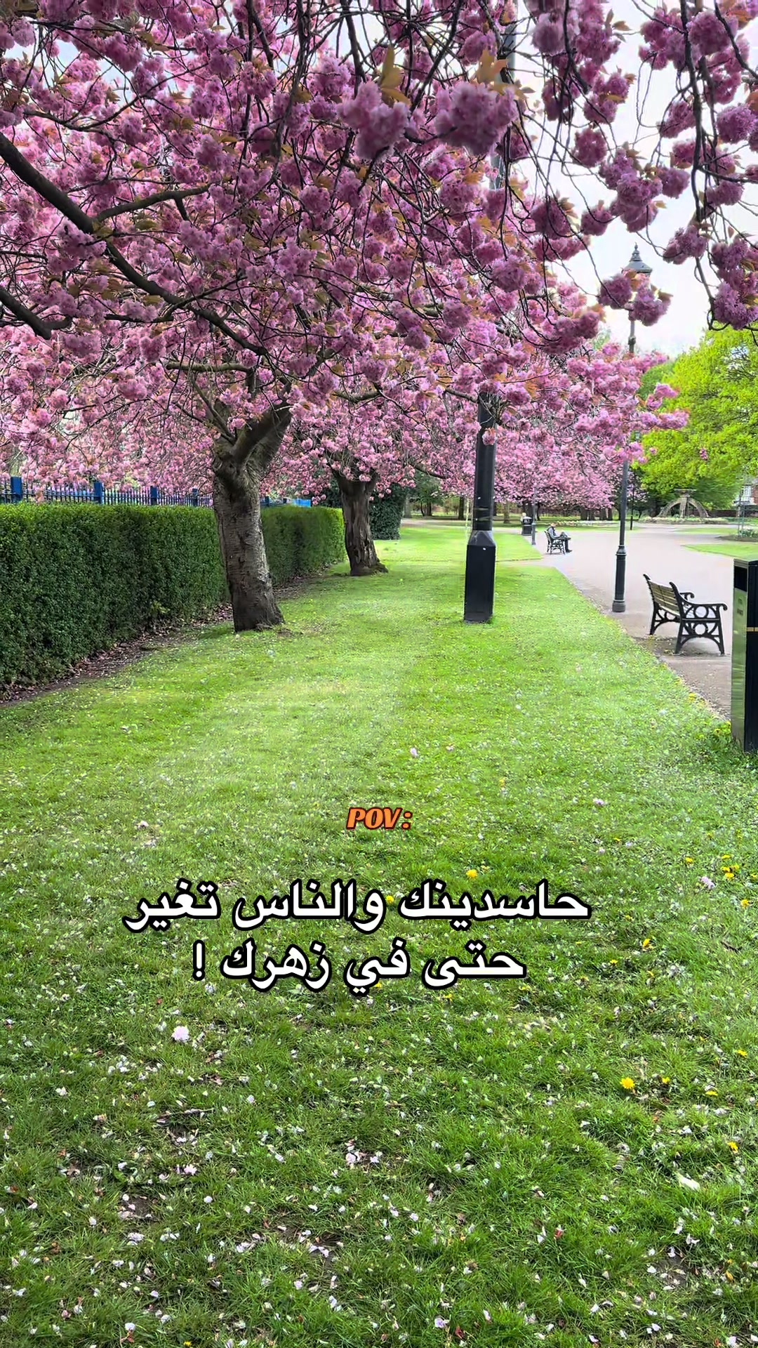 @Hamza_UK ๐ฉ๐ฟ๐ฌ๐ง