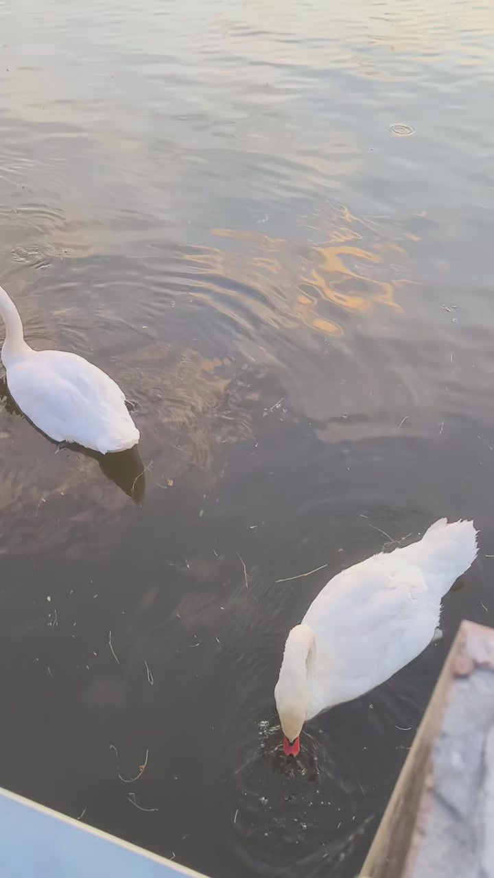 @Людмила