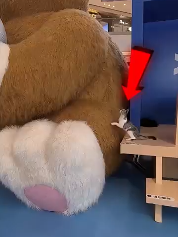 @Ich liebe Deutschland