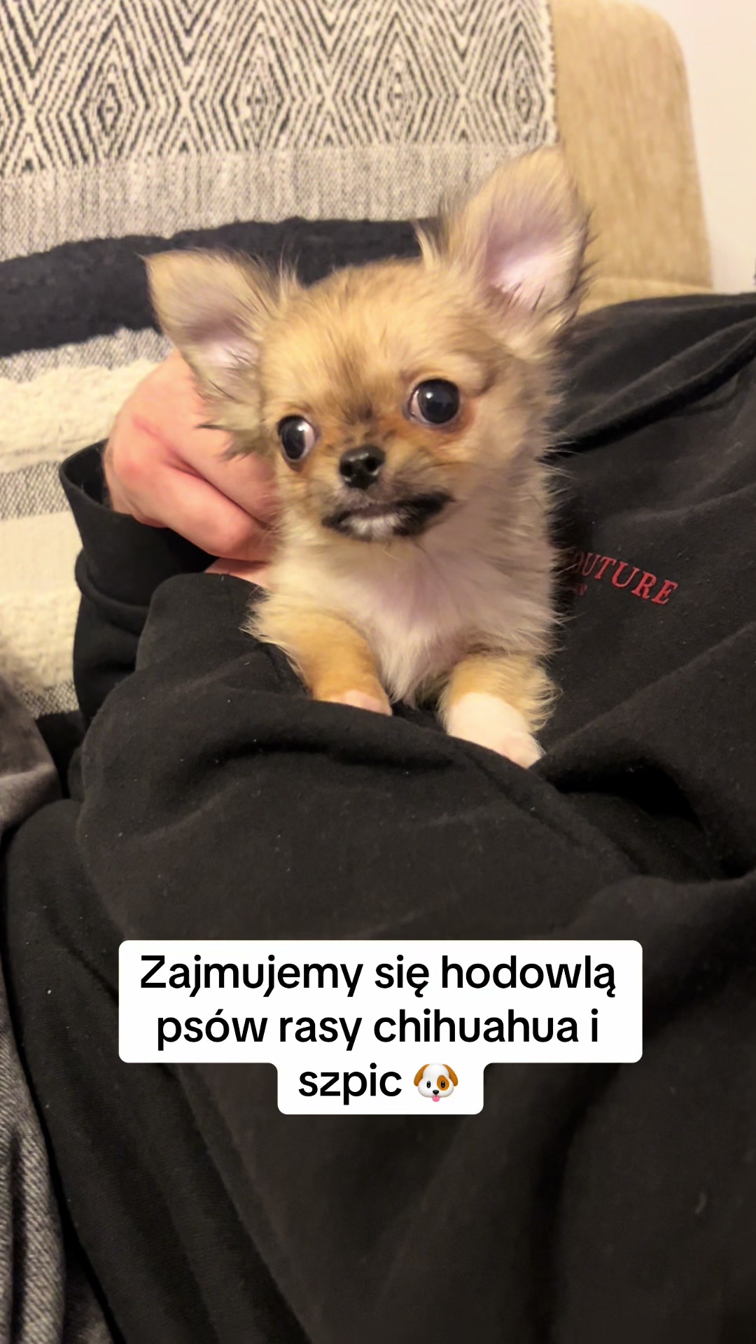 @Ulybki_lilu