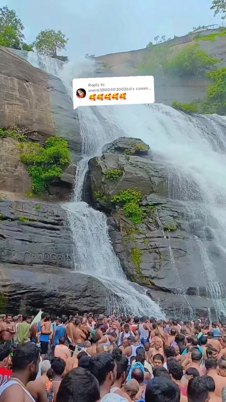 @பேப்பர் ஐடி 248 🌹1