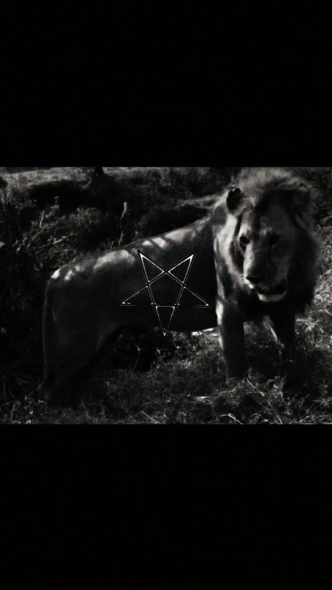 @goetia666