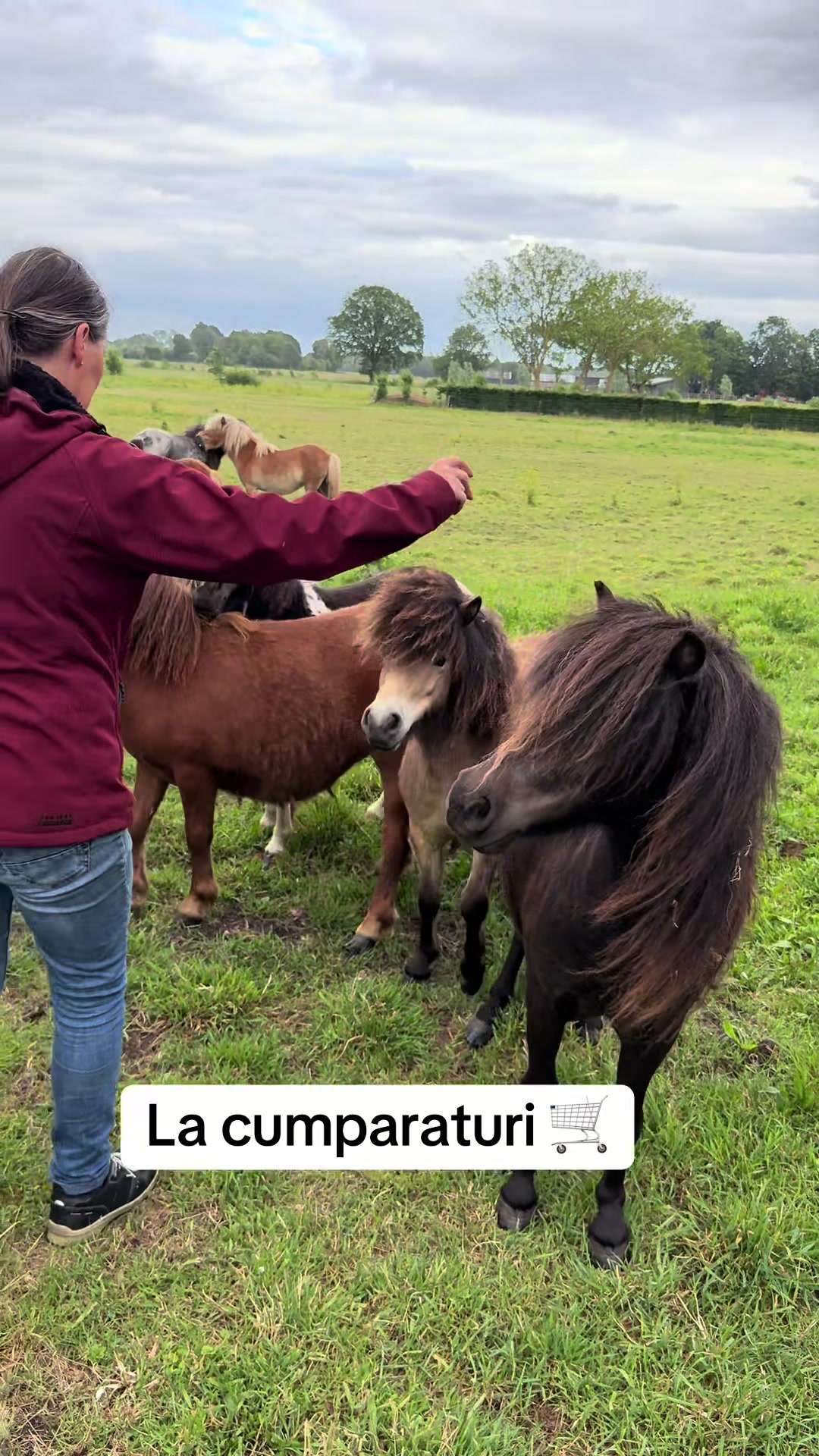 @Emanuel Slevas
