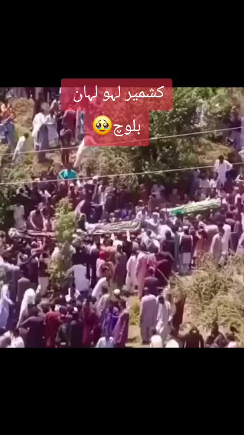 @🍁Wahab Kashmiri🍁