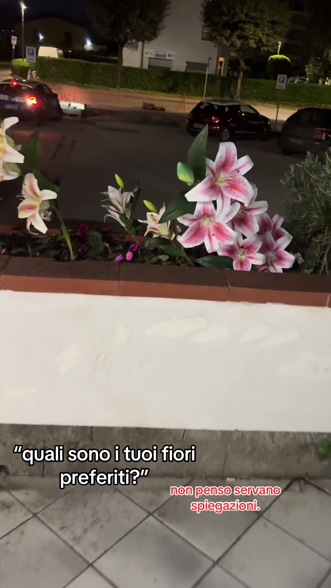 @lusy🧚&zwj;♀️
