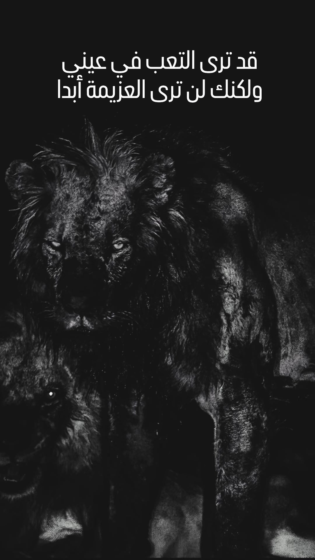 @🦁 scarface 🦁