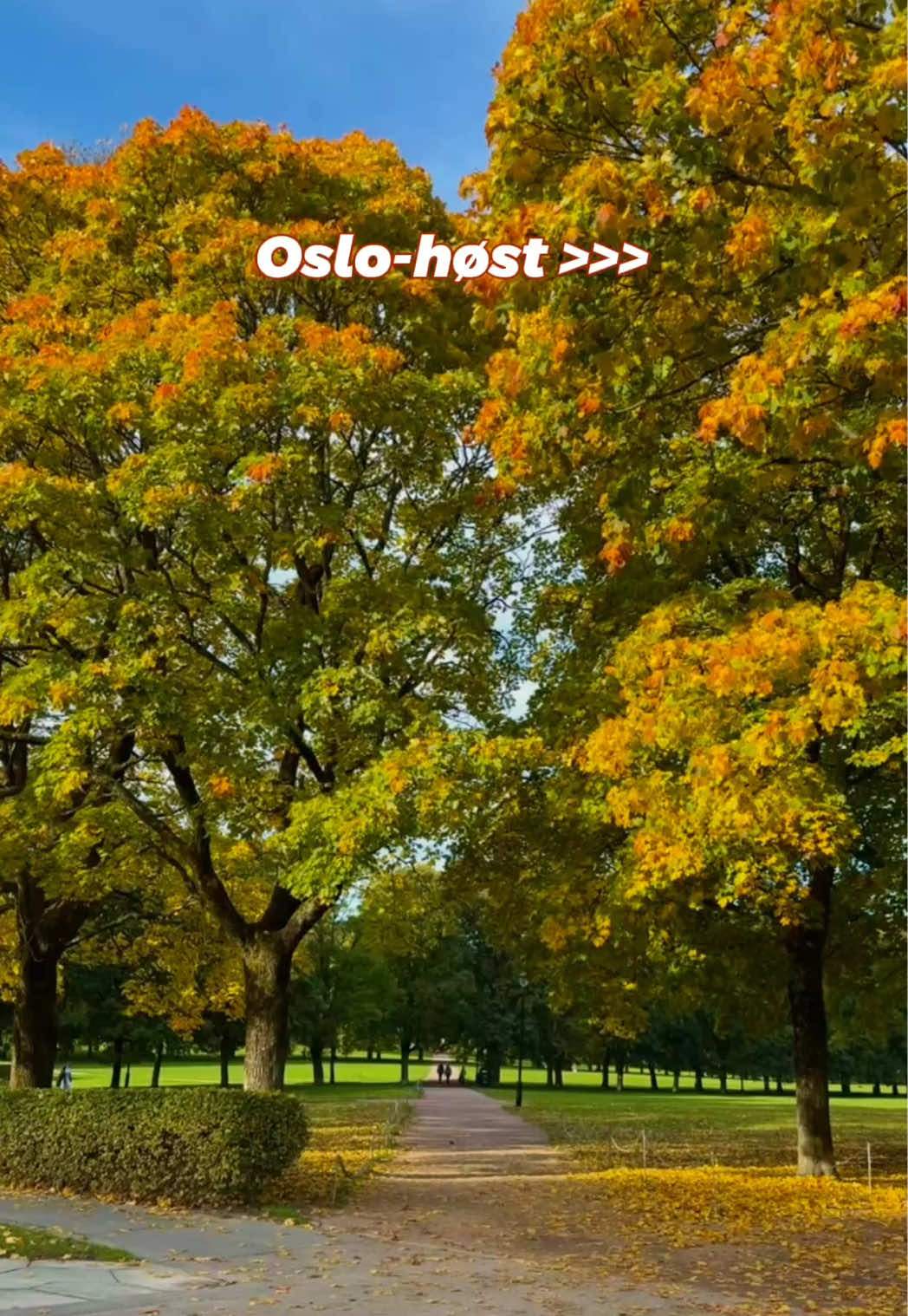 @Mer av Oslo