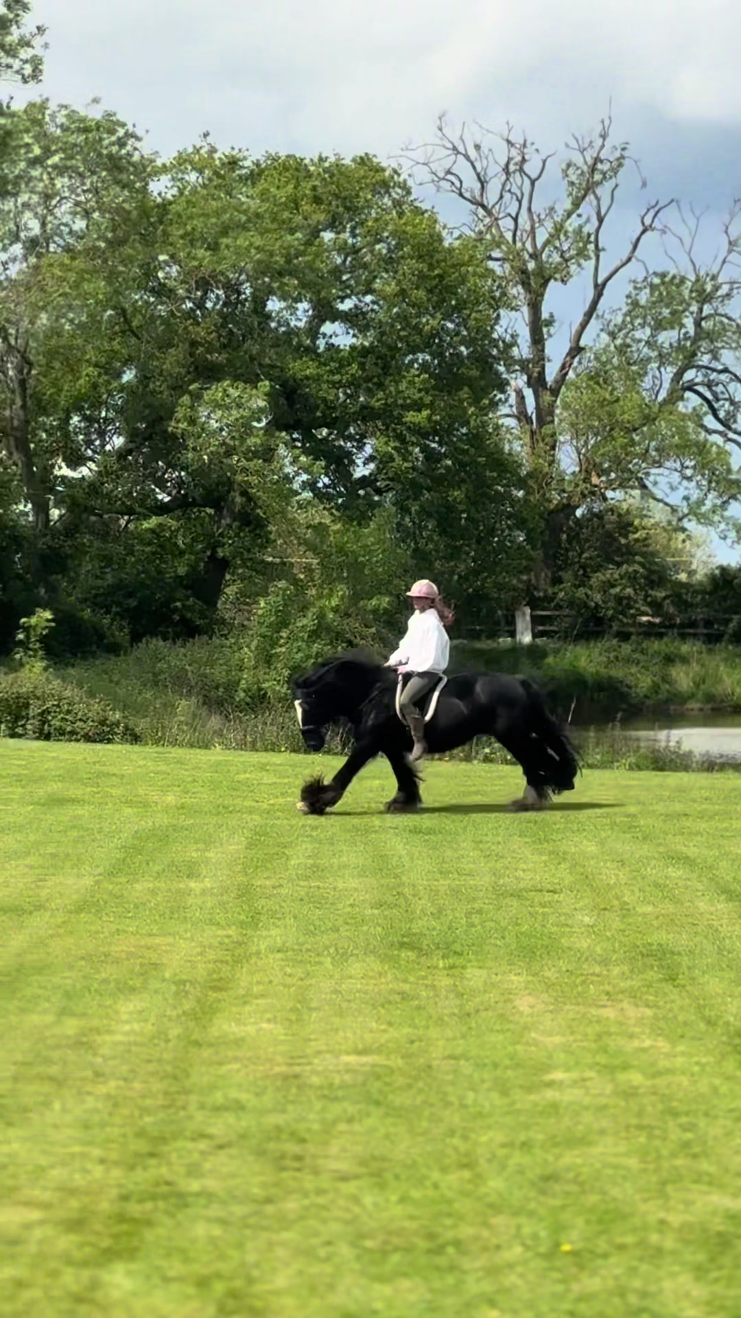 @Sophie&merlin🌸🐴