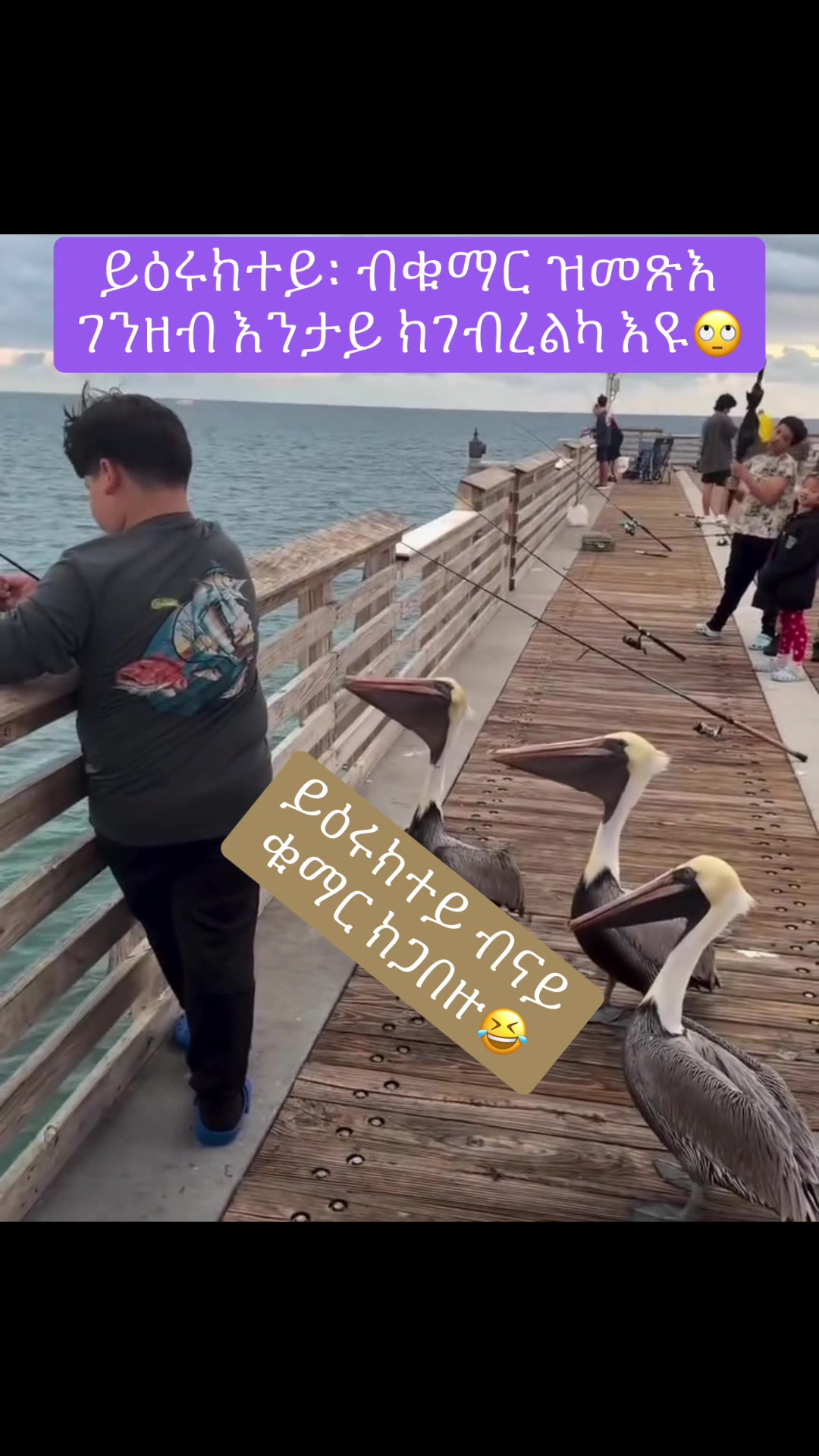 @𝓢𝓲𝓮𝓶