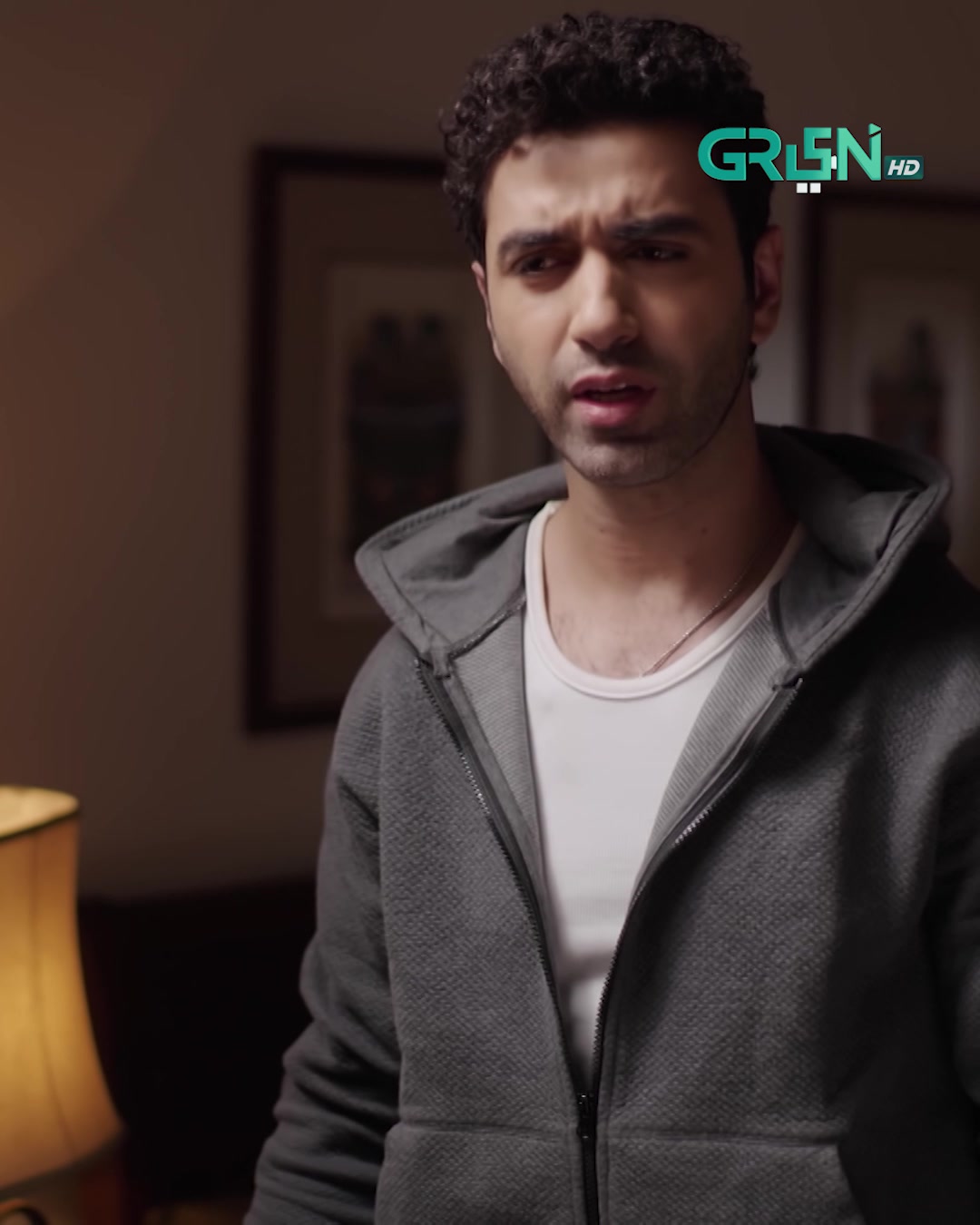 @Green TV Entertainment