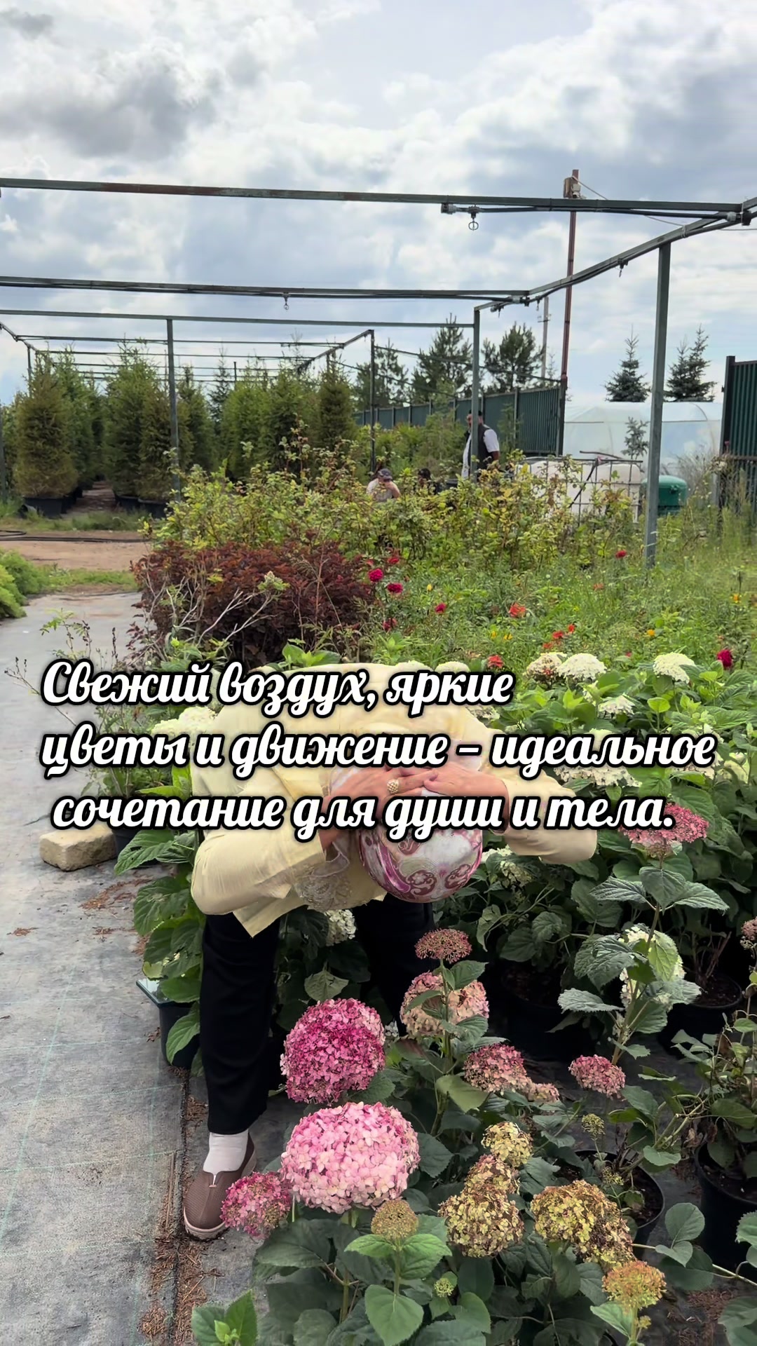 @Tamara Tiktok