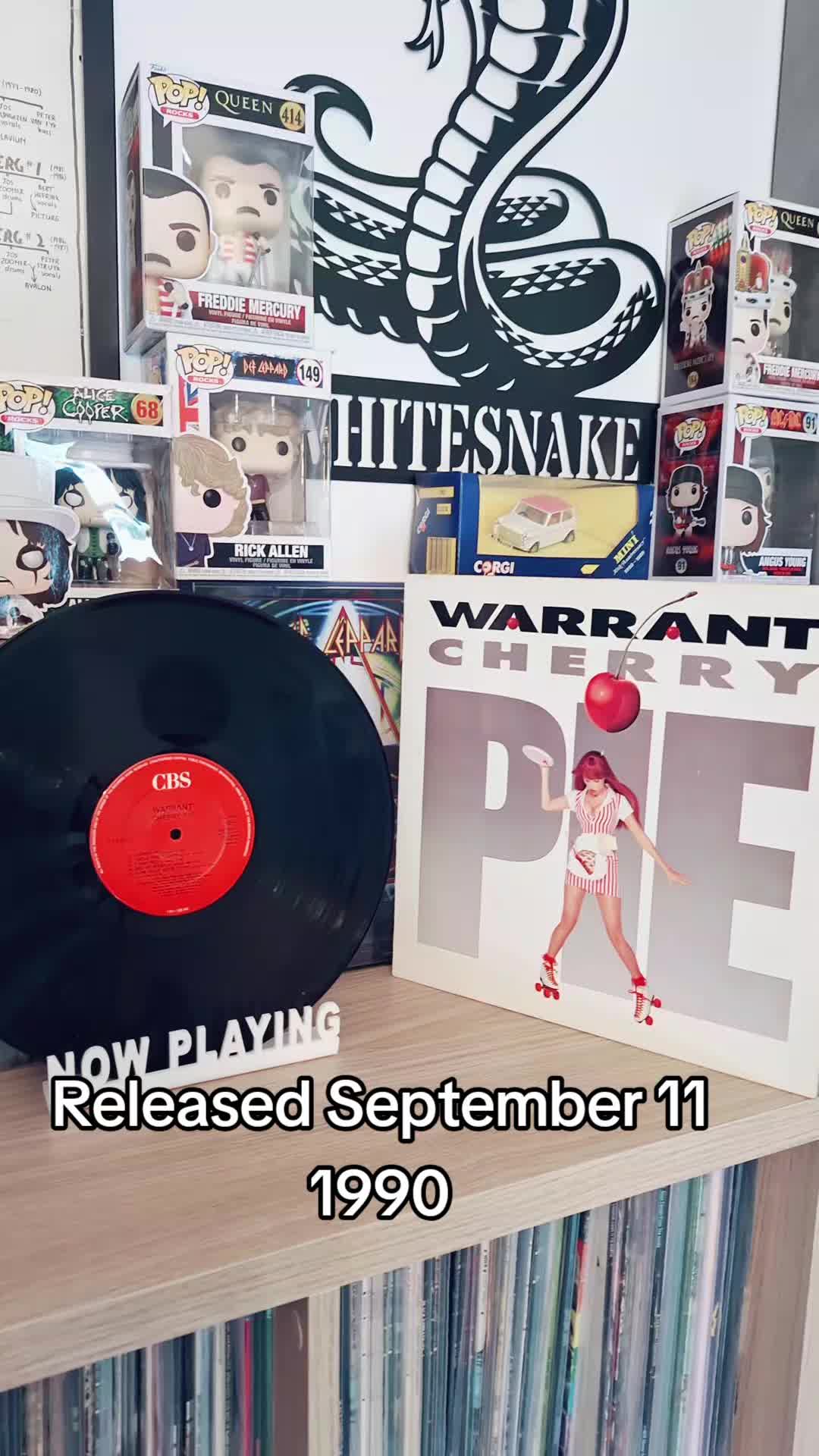 @VINYLIZER