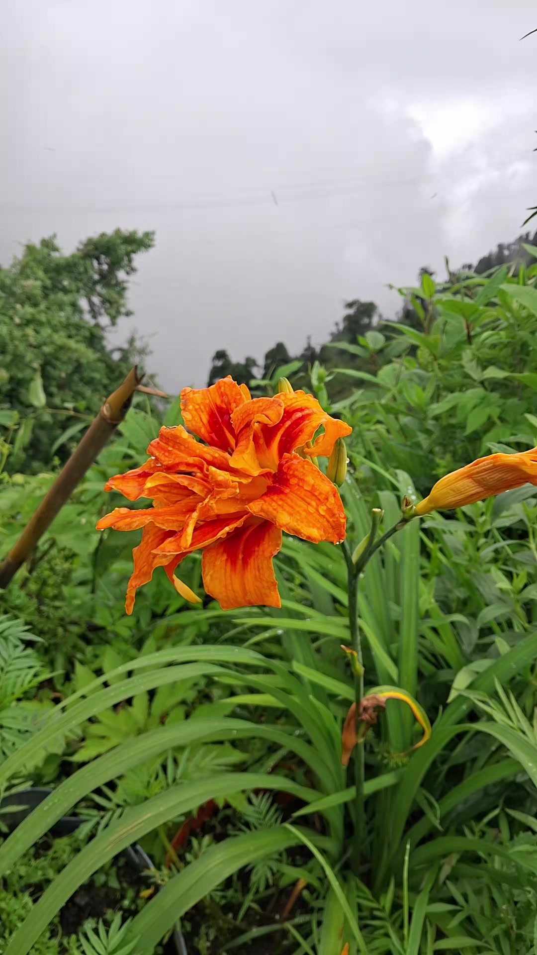 @Muna Devi Mukhiya