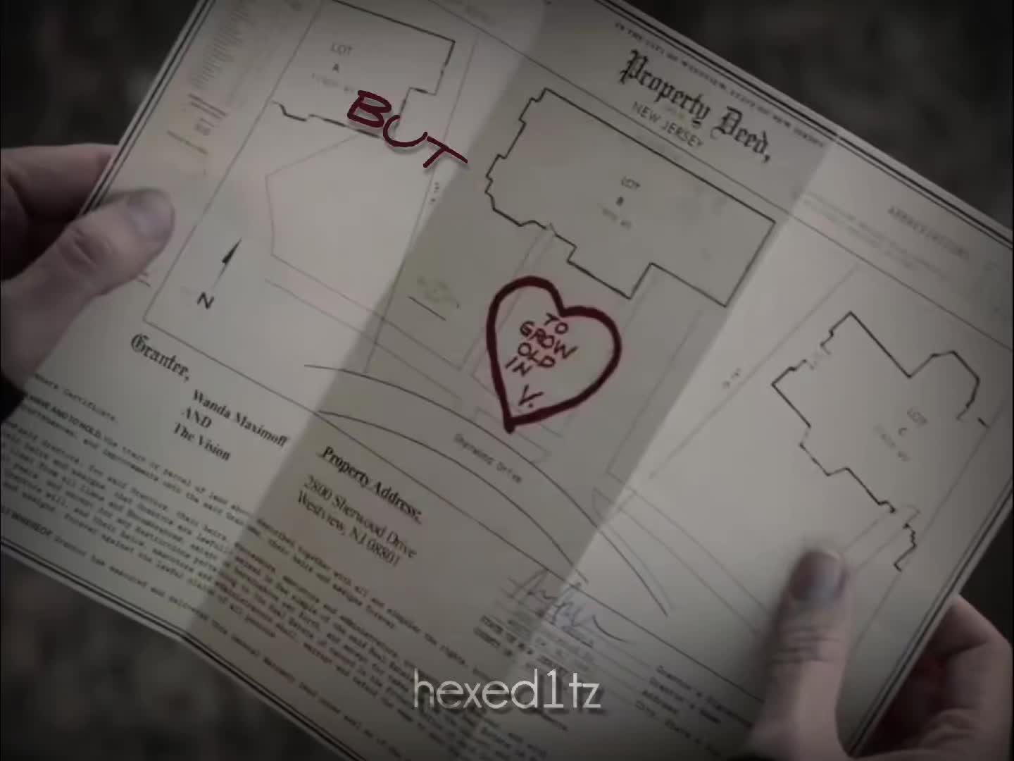@HexEditz