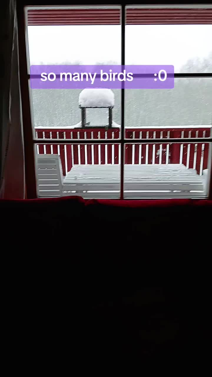 @marker🇪🇪  [🦑🐇]