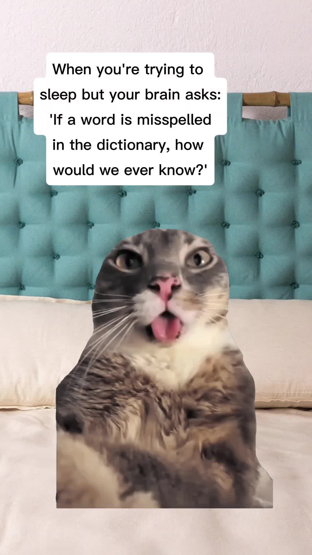 @Wₑₗₛₕ_Dₑᵥₒₙᵢₐₙ🏴󠁧󠁢󠁷󠁬󠁳󠁿