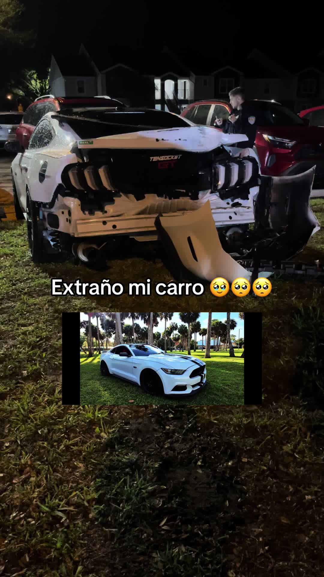 @davidgt869