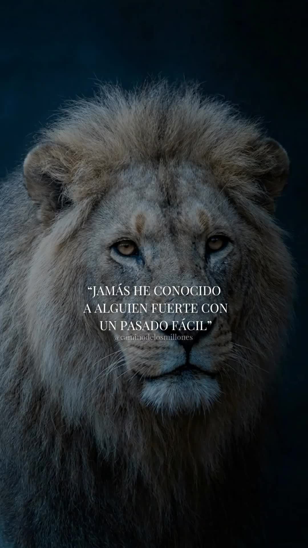 @caminodelosmillones