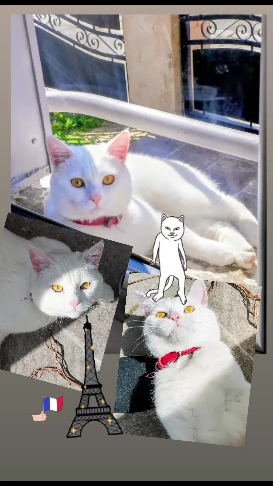 @Pere Cat
